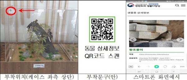 하남시 "유니온타워 박제품 야생동물 정보 QR코드로 확인하세요"